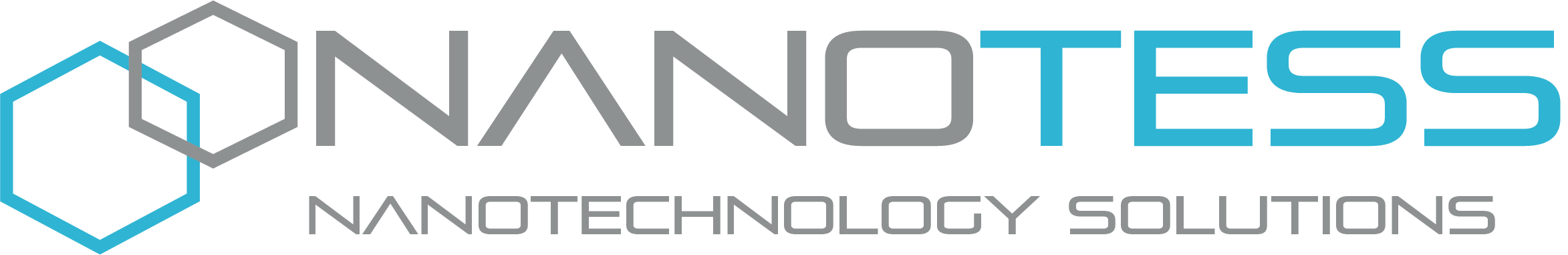 nanotess editable logo 20220228